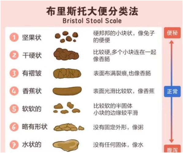 宝宝便秘妈妈愁？多吃这样辅食，富含膳食纤维，预防便秘！