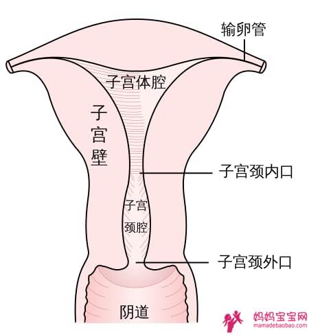 刚生完宝宝之后会不会来月经？