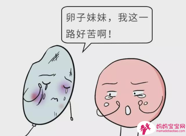 为何越来越多女性不孕不育 原因原来有这些