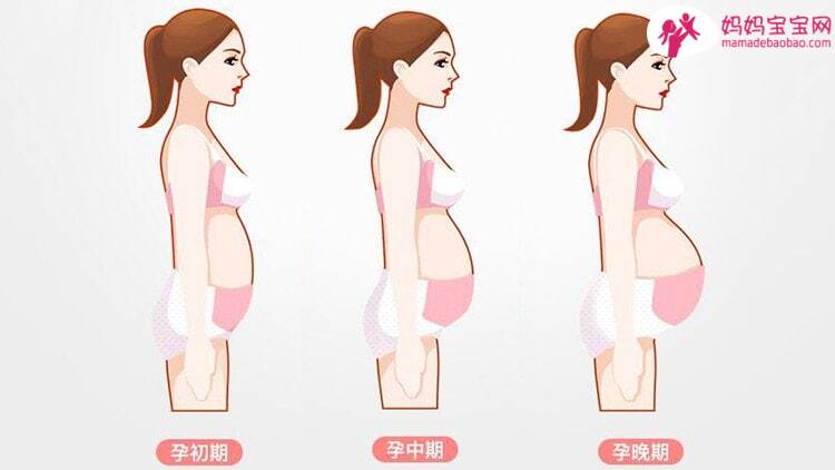 怀孕前、中、后这些营养一定要知道！