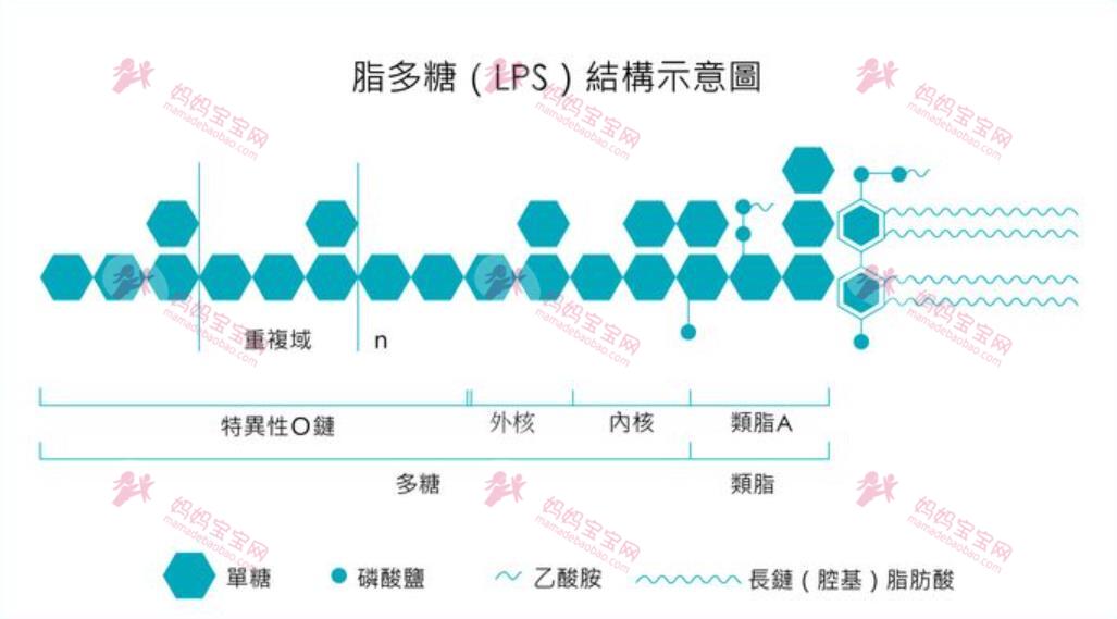 氢气和氢水，对于预防早产的功效探讨