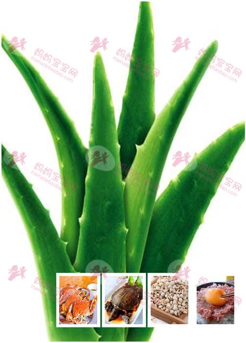 孕妇不能吃什么东西或者最好少吃？