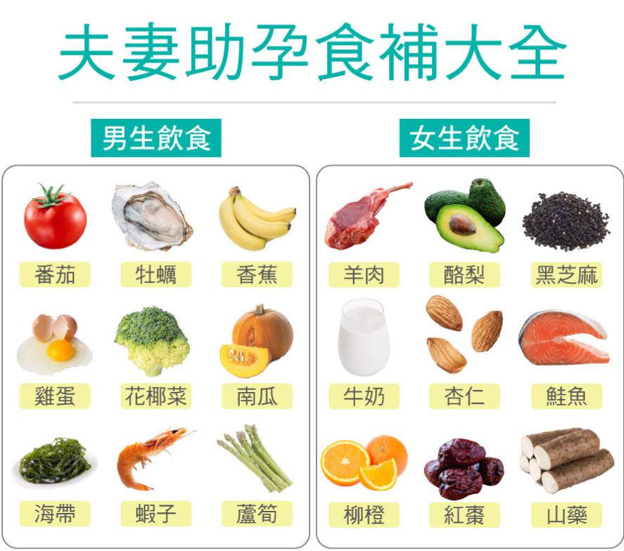 男女准备怀孕必知「助孕食物」、饮食观念，打造易孕体质！