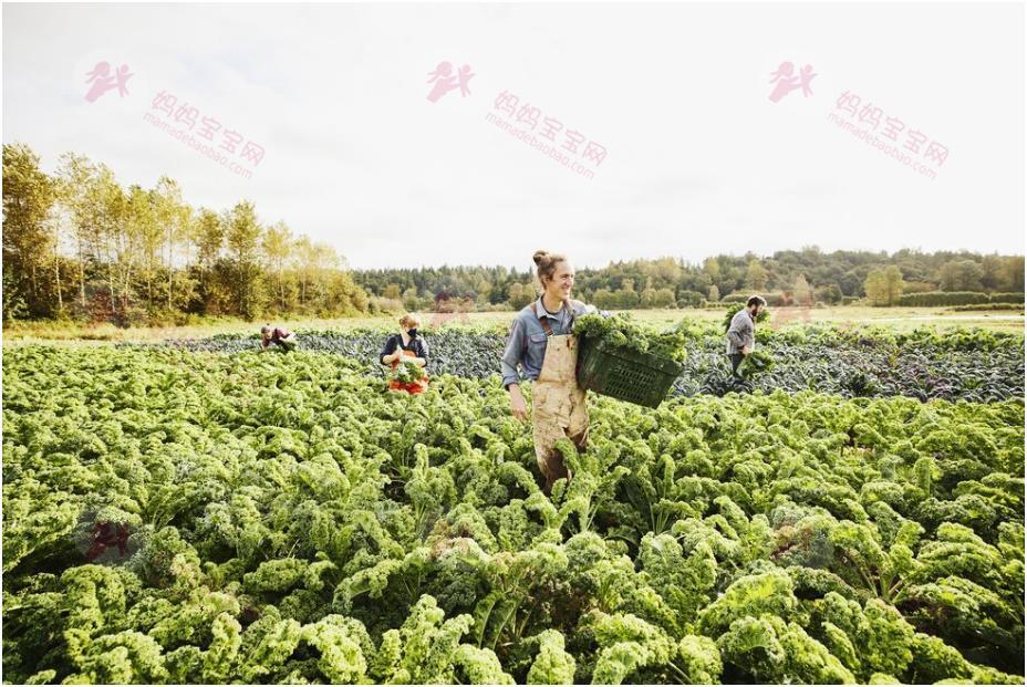 这些食物越吃越瘦？健身界盛传「负卡路里食物」清单：热量低、营养高