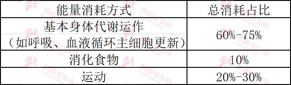 这些食物越吃越瘦？健身界盛传「负卡路里食物」清单：热量低、营养高