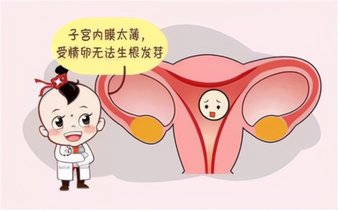 不孕不育检查项目（血常规，妇科超声）