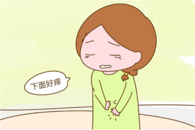 怀孕期间阴道分泌物为什么会增多