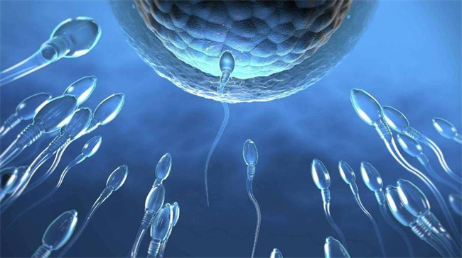 前列腺液中存在精子的情况