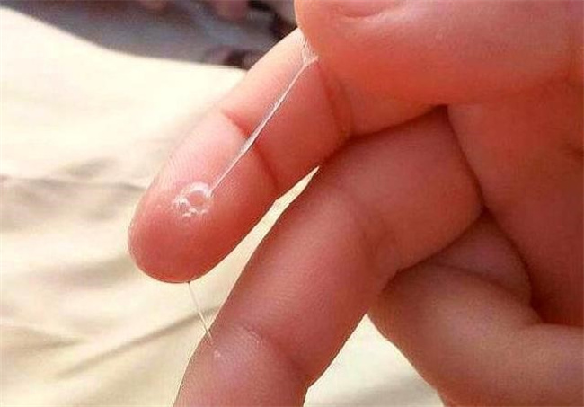 着床了白带就没了