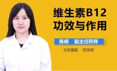 解读维生素B12：功能与补充方法一览