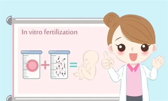 试管婴儿前的项目检查：女性和男性需要注意的关键点