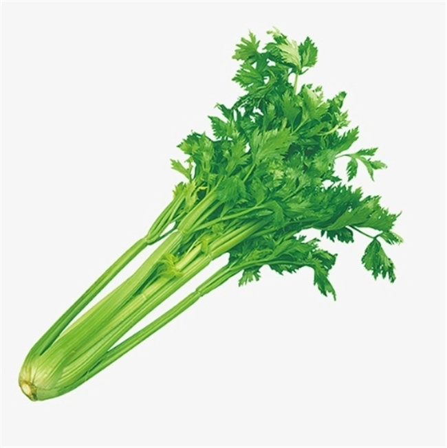 揭秘真相：芹菜叶子的营养与食疗价值远胜芹菜茎！