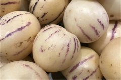 怀孕期间可以吃人参果吗？人参果的营养与功效