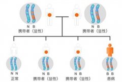 探秘地中海贫血基因：遗传背后的科学解读