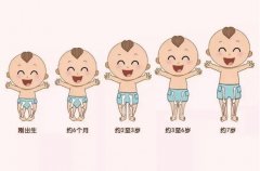 宝宝发育追踪:关注婴儿健康成长