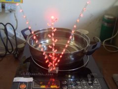 解密电磁炉辐射：专业角度看家居烹饪电器的影响