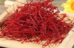 谨慎选择：哪些人不适合食用藏红花？