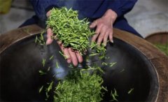 孕妇喝龙井茶的益处与注意事项