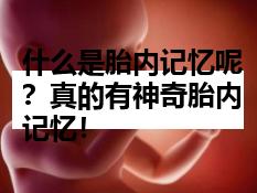 什么是胎内记忆呢？真的有神奇胎内记忆！