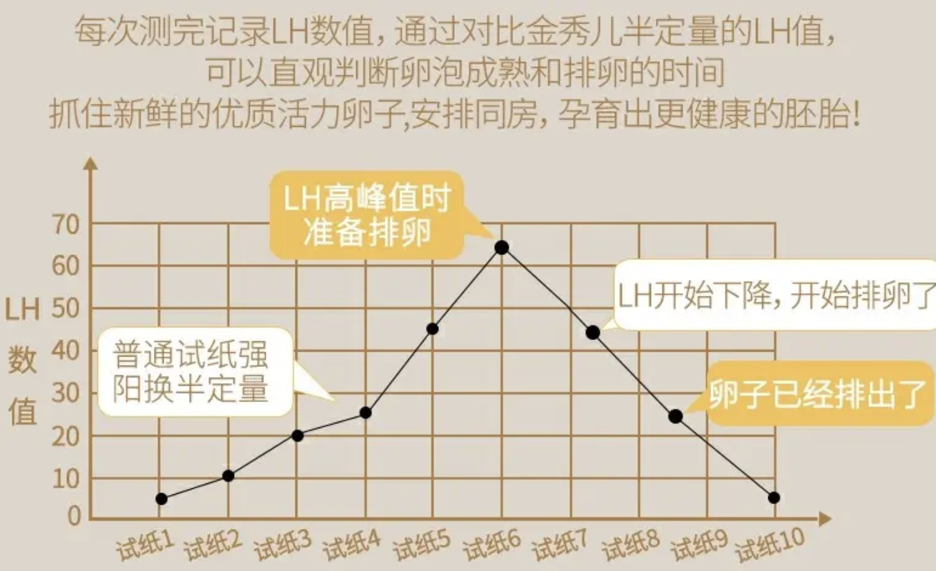 排卵试纸怎么看？教你用排卵试纸简单算准「排卵日」