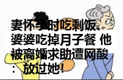 妻怀孕时吃剩饭、婆婆吃掉月子餐 他被离婚求助遭网酸：放过她！