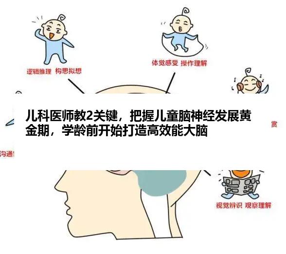 儿科医师教2关键，把握儿童脑神经发展黄金期，学龄前开始打造高效能大脑