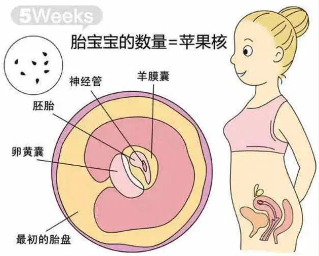 当胎儿生长迟滞时，遵从医嘱追踪检查！妈咪第一胎胎死腹中，第二胎顺利出生，暱称「阿斯匹灵」纪念辛苦怀孕历程
