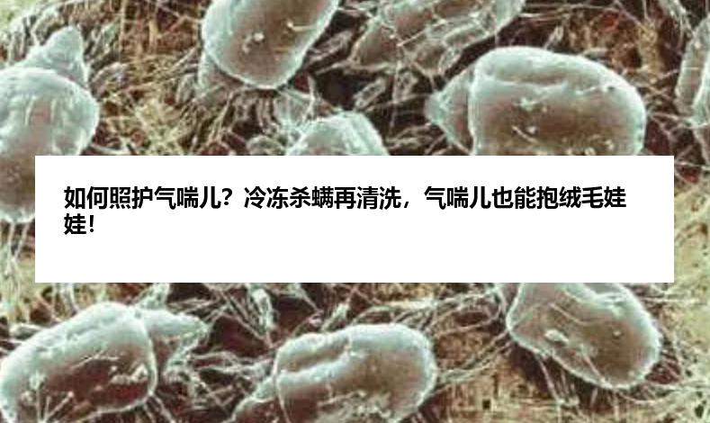 如何照护气喘儿？冷冻杀螨再清洗，气喘儿也能抱绒毛娃娃！