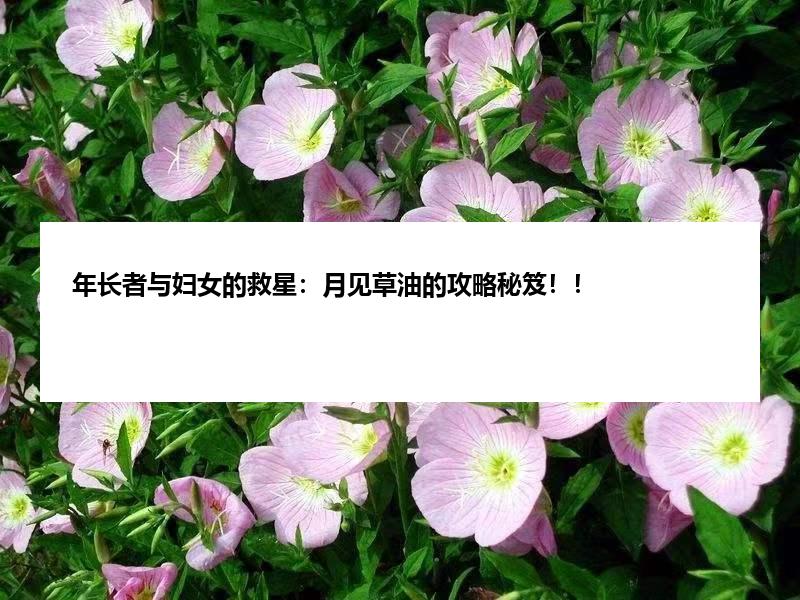 年长者与妇女的救星：月见草油的攻略秘笈！！