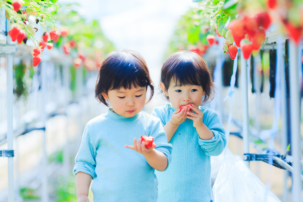 宝宝几个月可以吃草莓?如何安全地喂养婴儿