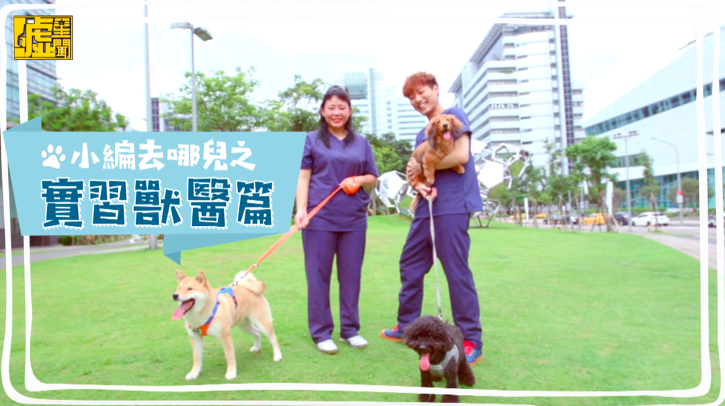 看「小编去哪儿」一日兽医师影音maopo分享+留言送毛小孩饲料好礼