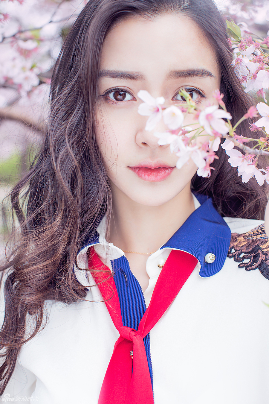 Angelababy与樱花的二三事 仙气少女感爆棚