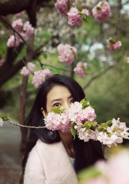 高圆圆太美了