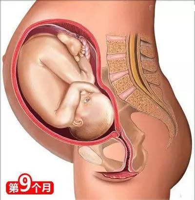 从怀孕到生娃，26个母婴常识！（干货太多，实用收藏）