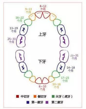 从怀孕到生娃，26个母婴常识！（干货太多，实用收藏）