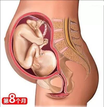 从怀孕到生娃，26个母婴常识！（干货太多，实用收藏）