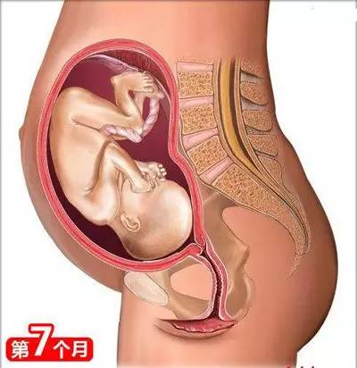 从怀孕到生娃，26个母婴常识！（干货太多，实用收藏）