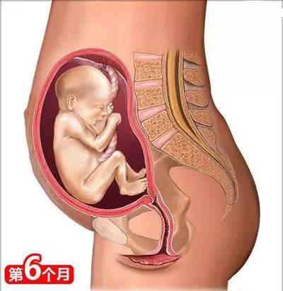 从怀孕到生娃，26个母婴常识！（干货太多，实用收藏）