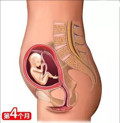 从怀孕到生娃，26个母婴常识！（干货太多，实用收藏）