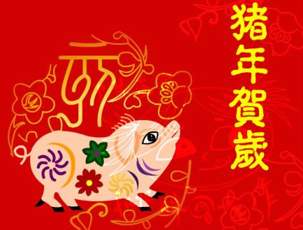 2019年是什么年什么命