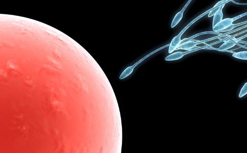 精子是否健康?从3个方面来判断