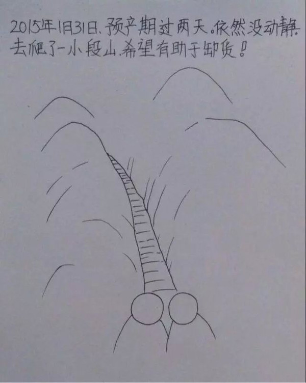 一个男人用漫画描绘了老婆从怀孕到生产的所有细节,超真实超感人。这组漫画最近传遍网络,小编分享在此,与各位读者共享这份感动,献给天下所有的父母,你们都会体会这份辛苦,也献给一位孩子刚刚降生的父亲。