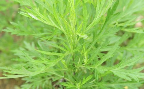 恼人的痛经怎么治 中医推荐3偏方