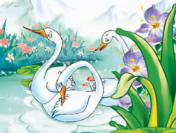 想接近太阳的天鹅的胎教故事