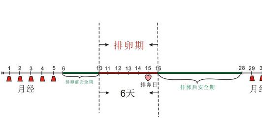 排卵期的计算方法：准确计算排卵日也是一种自我关爱