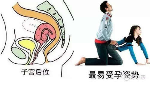 真人23式(动)姿势图曝光：容易怀孕的姿势不要错过（图）