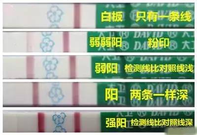 排卵试纸强阳就有一定有排卵，能怀孕？你信你就输了