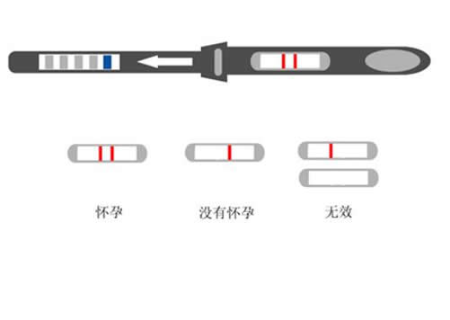 验孕棒怎么看：教你验孕棒使用方法图解法