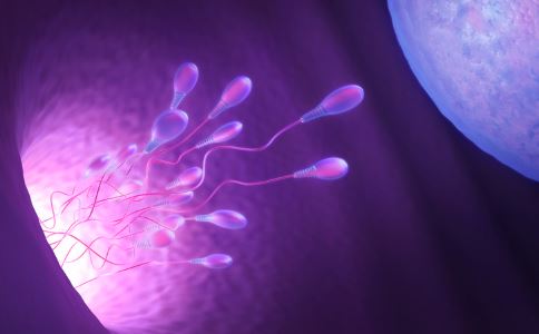 精子的质量标准是什么 从10个方面衡量
