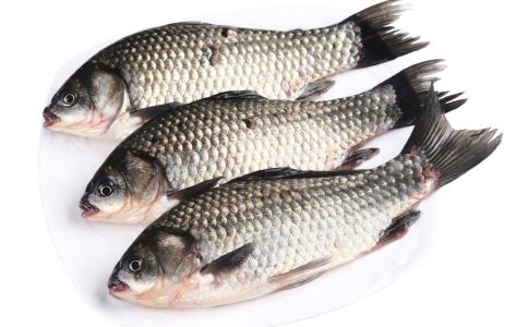 哺乳期如何补气血 选择食疗最合适